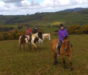Scenic Trek